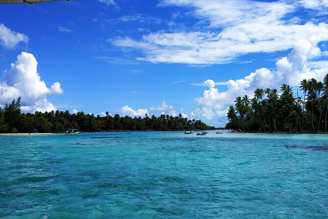 1/2 day Tahaa coral garden - departure Raiatea / ideal for cruise passengers - The drift snorkel through shallow coral