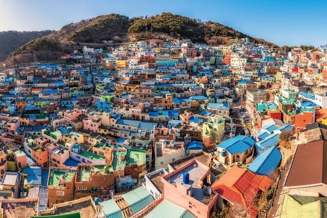 1-Day Busan Shore Excursion – City Highlights for Cruise Guests - The UN Memorial Cemetery brings a quieter tone