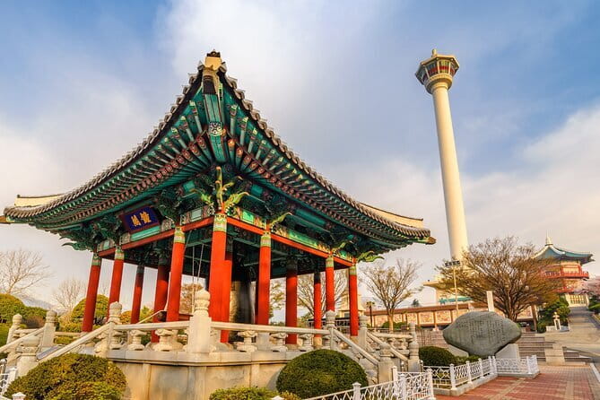 1-Day Busan Shore Excursion – City Highlights for Cruise Guests - Jagalchi Market gives you Busan at street level