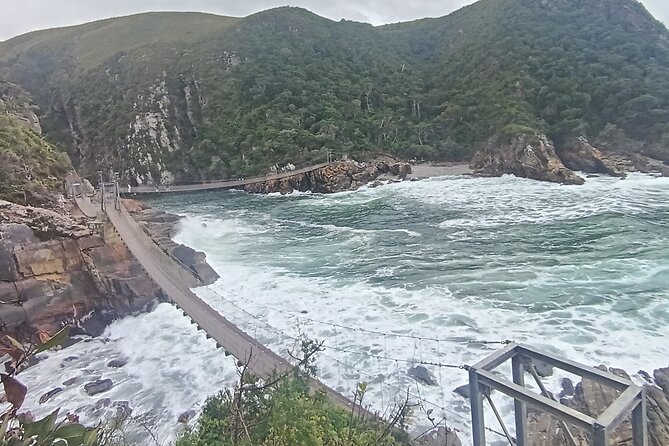 1 Day Garden Route Tour: From Port Elizabeth to the Crags - Transport, pickup, and the pace of the day
