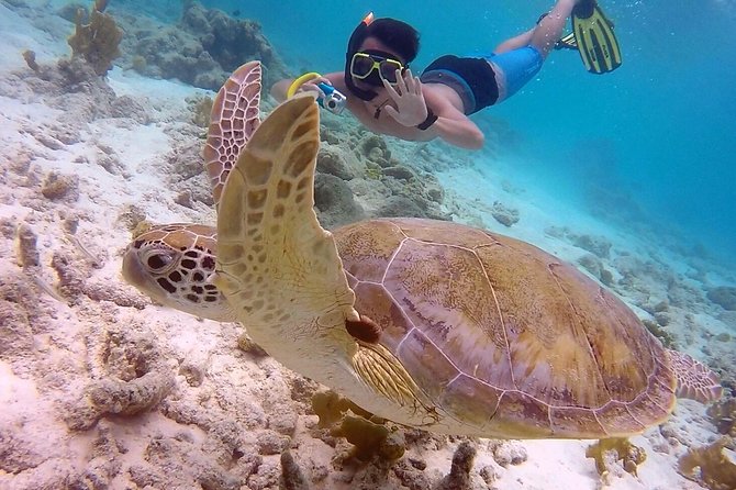 100% Private Charter Snorkel, Sail, Relax (Cruisers Friendly) - Klein Bonaire for clear water and an easy change of scene