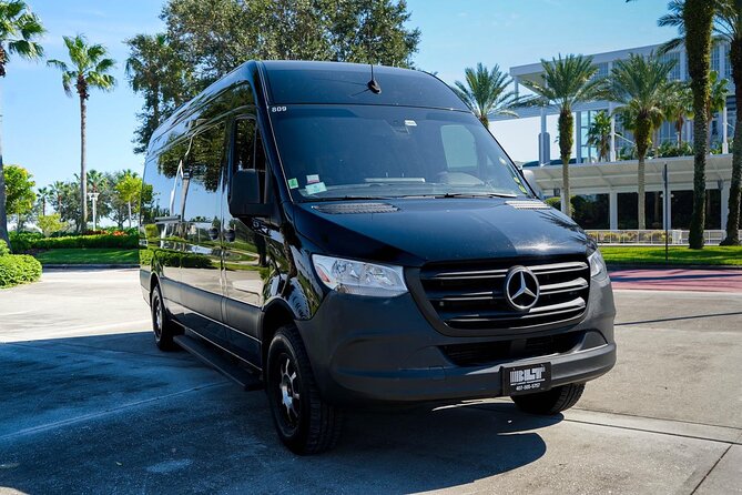 14 Passengers Van private Transfer to/From Port Canaveral One Way - Why a private van makes sense on cruise day