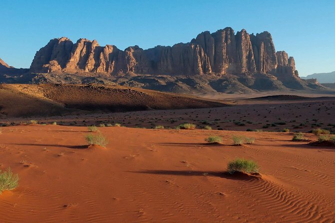 2 Day 1 Night Petra & Wadi Rum Shore Excursion (ON Petra) - How much walking and time should you expect?