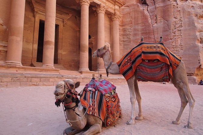 2 Day 1 Night Wadi Rum (Overnight) & Petra Shore Excursion - Key points to know before booking