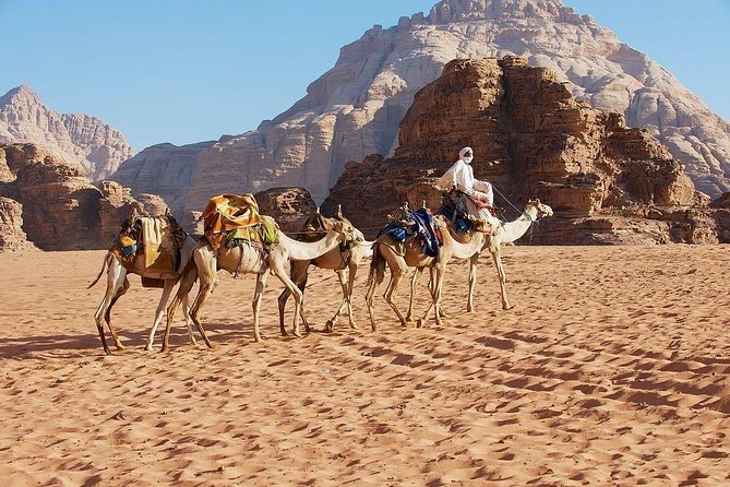 2 Day 1 Night Wadi Rum (Overnight) & Petra Shore Excursion - Entering Petra through the Siq