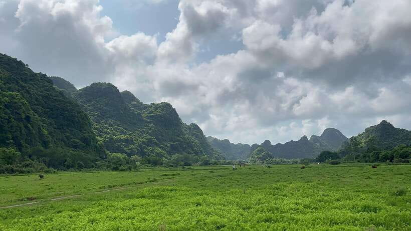 2-Day Lan Ha and Cat Ba Cruise Tour By 3 Star Cruise Ship - A cooking class with a simple local focus
