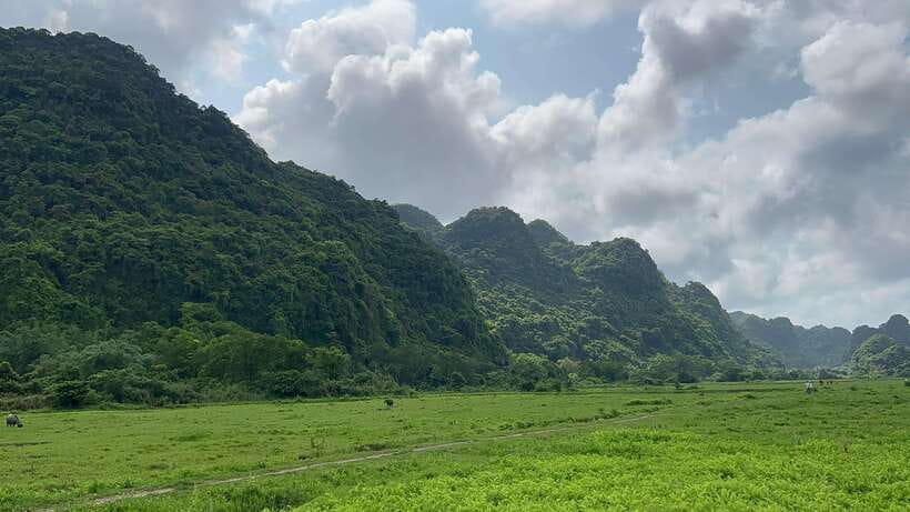 2-Day Lan Ha and Cat Ba Cruise Tour By 3 Star Cruise Ship - What the $159 price really covers