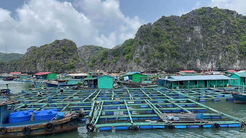 2-Day Lan Ha and Cat Ba Cruise Tour By 3 Star Cruise Ship - The important cabin warning