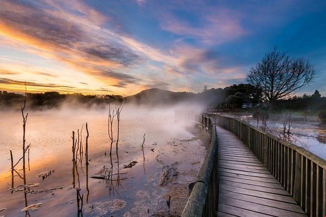 6.5 hour Small-Group Rotorua Naturally Shore Excursion - Tauranga - Key points before you book