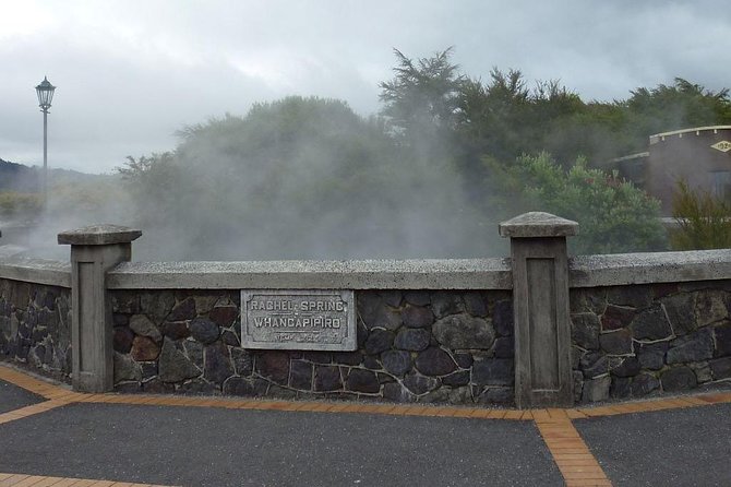 6.5 hour Small-Group Rotorua Naturally Shore Excursion - Tauranga - Kuirau Park: Rotorua’s geothermal welcome