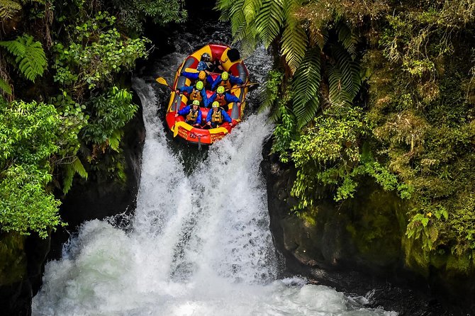 6.5 hour Small-Group Rotorua Naturally Shore Excursion - Tauranga - How the timing works on a cruise day