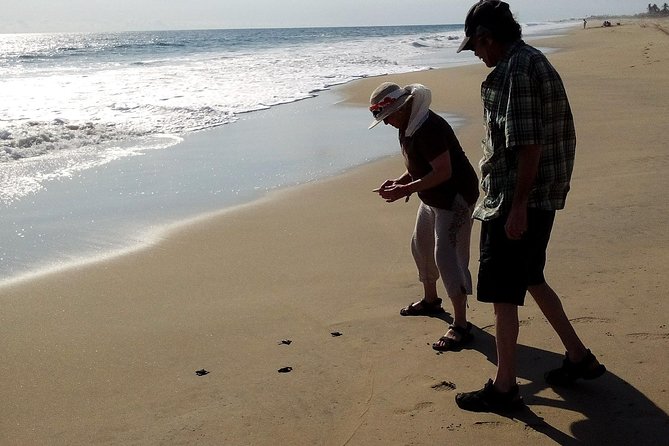 6 Hour Fun-Filled Tour Perfect for Cruise Travelers & Hotel Stays - Why this six-hour Acapulco route works