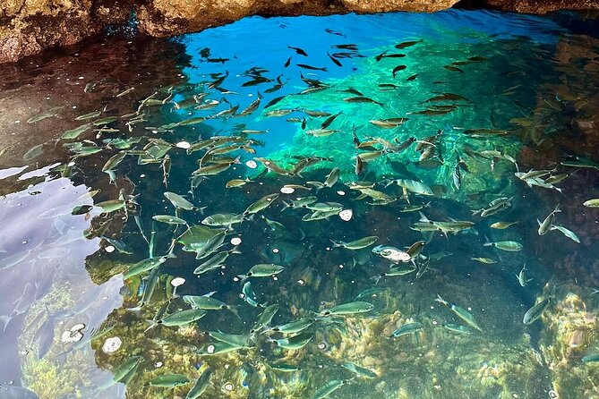 A Relaxing Private Corfu Sea Tour for Cruise Passengers - Who should book this cruise?