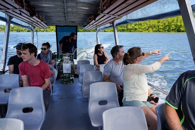 Afternoon Daintree Tour with River Cruise from Port Douglas - Key points to know before you book