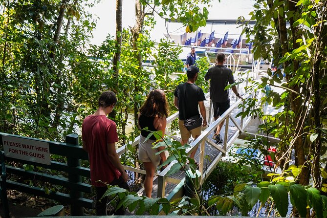 Afternoon Daintree Tour with River Cruise from Port Douglas - Walking through Mossman Gorge