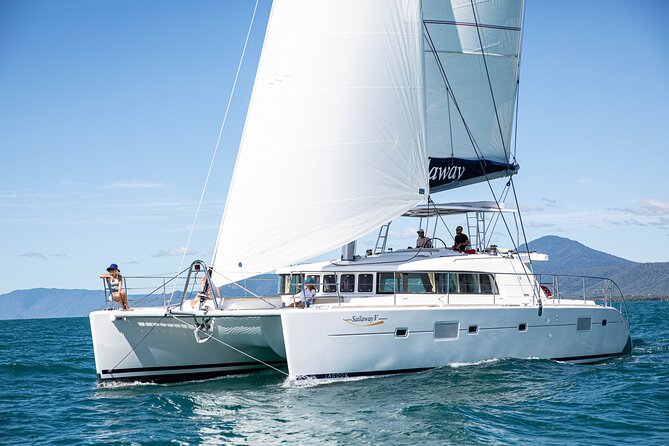 Afternoon Low Isles Snorkelling & Sunset Sail from Port Douglas - The glass-bottom boat and island alternatives