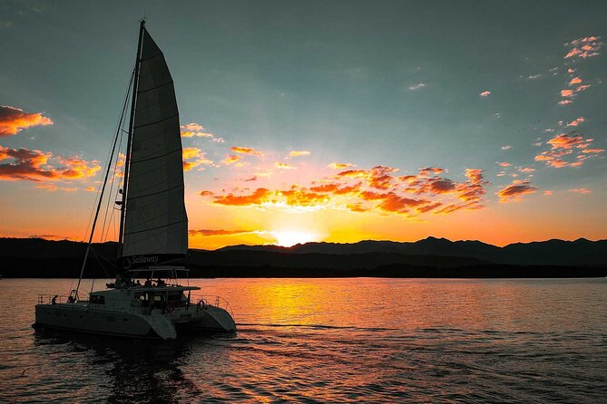 Afternoon Low Isles Snorkelling & Sunset Sail from Port Douglas - Afternoon tea, refreshments, and the trip home