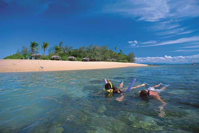 Afternoon Low Isles Snorkelling & Sunset Sail from Port Douglas - Price, timing, and overall value