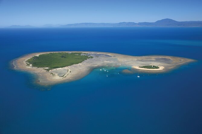 Afternoon Low Isles Snorkelling & Sunset Sail from Port Douglas - Who should book this cruise