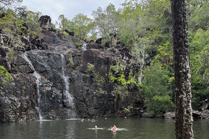 Airlie Beach: Cedar Creek Express (cruise ship friendly) - Who will enjoy this Cedar Creek outing?