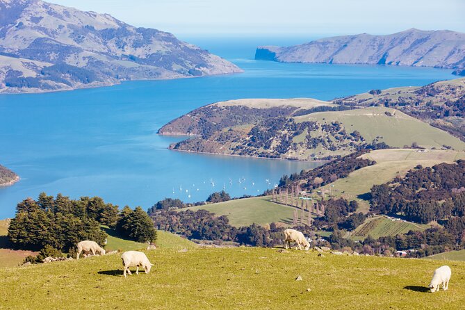 Akaroa & Giants House Garden tour ex Lyttelton (Shore Excursion) - Gebbies Pass and the first big view