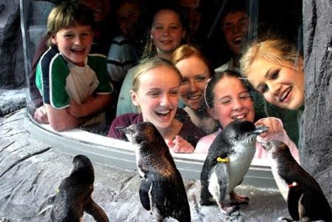 Akaroa Shore Excursion: Banks Peninsula, Christchurch City Tour and the International Antarctic Centre - How much time will you really have?