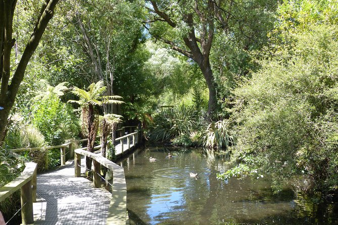 Akaroa Shore Excursion: Banks Peninsula, Christchurch City Tour and Willowbank Wildlife Reserve - The ship-return promise and why timing matters
