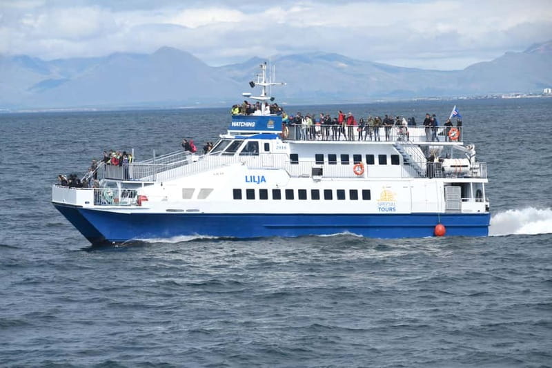 Akureyri: Whale Watching Shore Excursions - The guide makes the difference between a cruise and a lesson