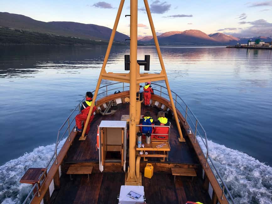 Akureyri: Whale Watching Tour with Transfer from Port - Two and a half hours searching Eyjafjörður