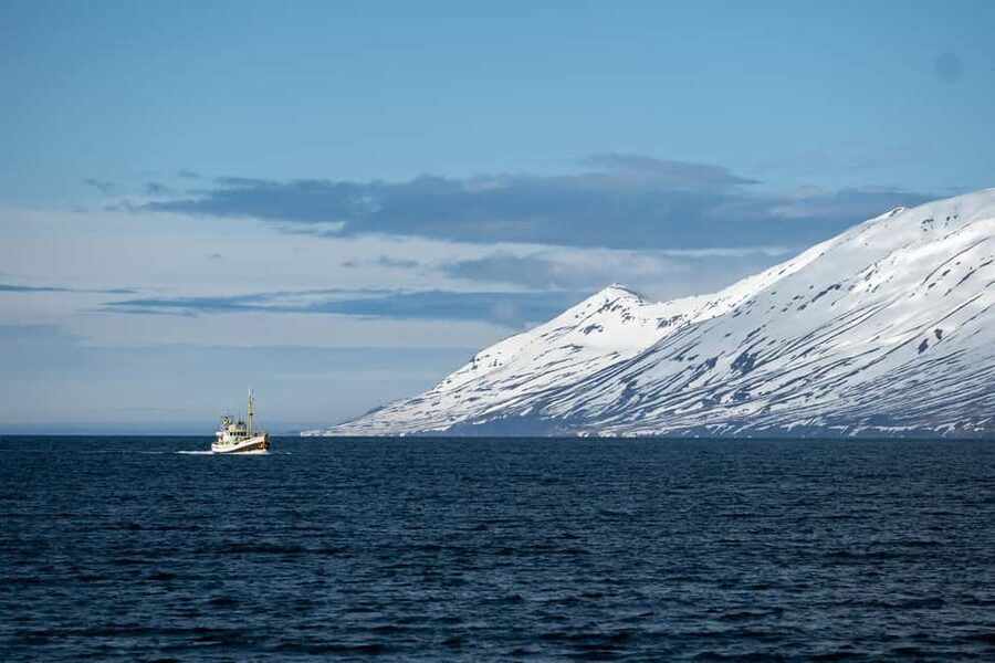 Akureyri: Whale Watching Tour with Transfer from Port - Returning to Akureyri in time for your ship