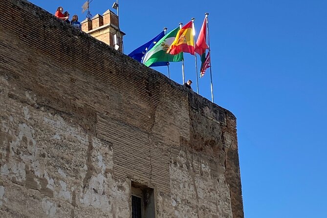 Alhambra Private Tour from Port of Motril - Who should book this Alhambra tour
