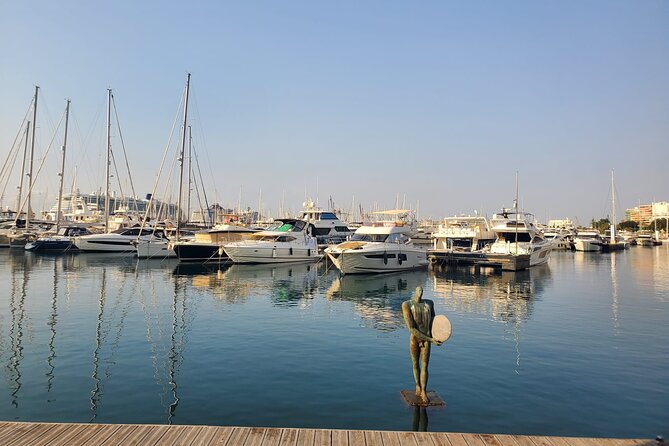 Alicante Highlights Tour for Cruise Passengers with Port Pickup - Price and what you receive for $90.11