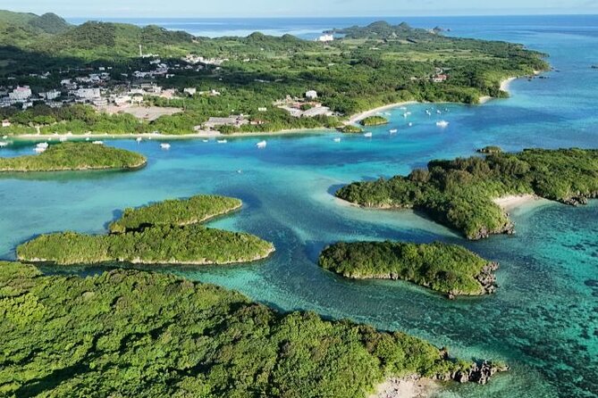 All-Inclusive Ishigaki Island Shore Excursion with English Guide - Why this tour works well from a cruise ship