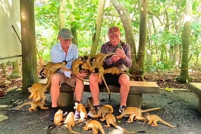 All-Inclusive Ishigaki Island Shore Excursion with English Guide - Lunch and the value of an all-inclusive setup