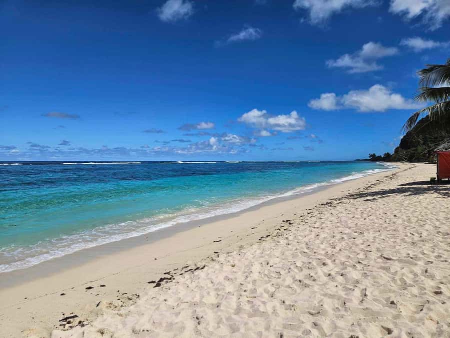 Apia Port: Cruise Guests’ Shore Excursion - Piula Cave Pool brings a cool start