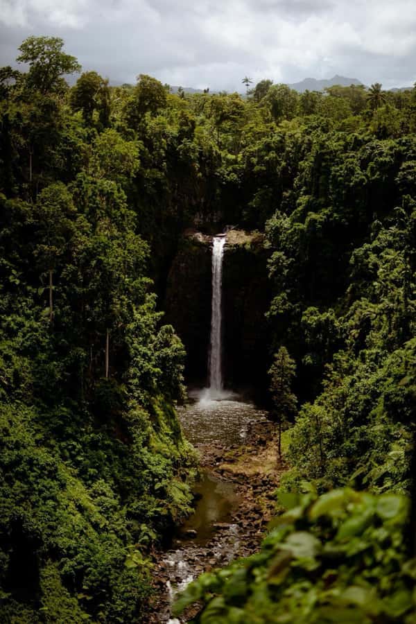 Apia Port: Cruise Guests’ Shore Excursion - Sopoaga Falls offers a quick photo stop