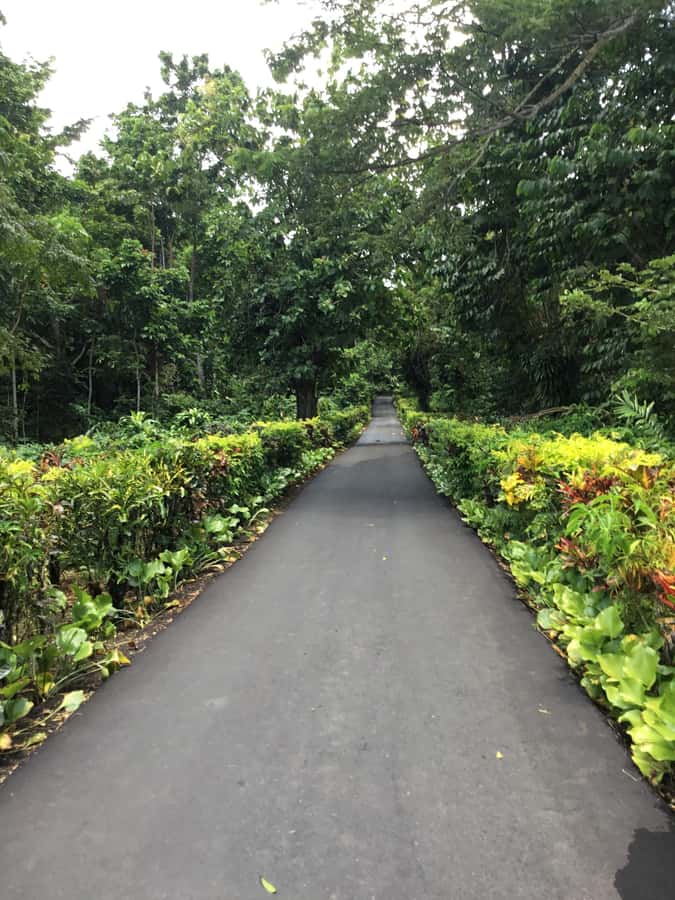 Apia Port: Cruise Guests’ Shore Excursion - Atua District adds a short local stop