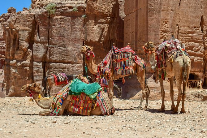 Aqaba Shore Excursion: Private Petra Sightseeing Tour with Lunch - From Aqaba port to the Sharah Mountains