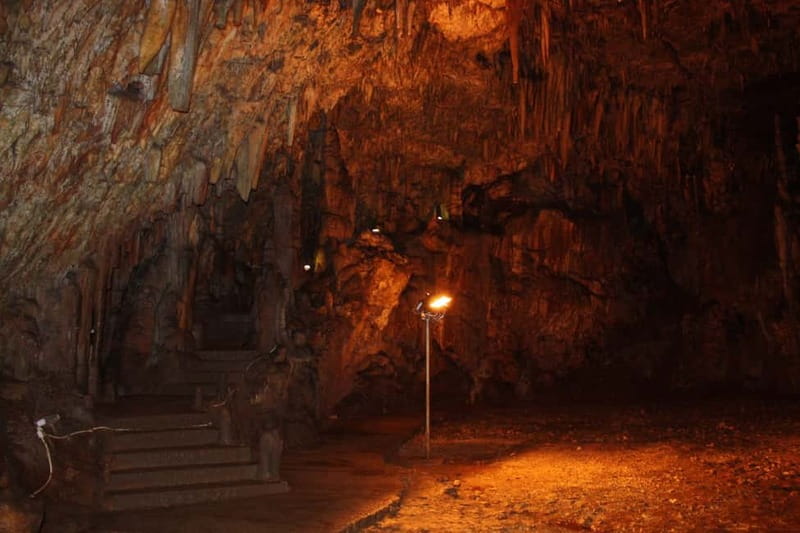 Argostoli: Shore Excursion to Caves with Local Wine Tasting - A 105-minute local wine tasting at The Vine