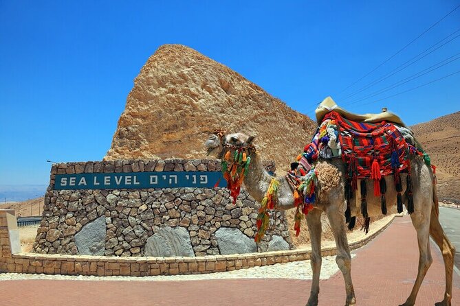 Ashdod Port Shore Excursion: Masada and the Dead Sea Day Tour from Ashdod Port - Key points at a glance