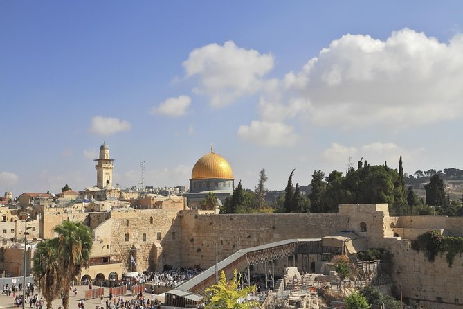 Ashdod Shore Excursion: Jerusalem and Bethlehem - for cruise ship guests only - Garden of Gethsemane and Mount Zion
