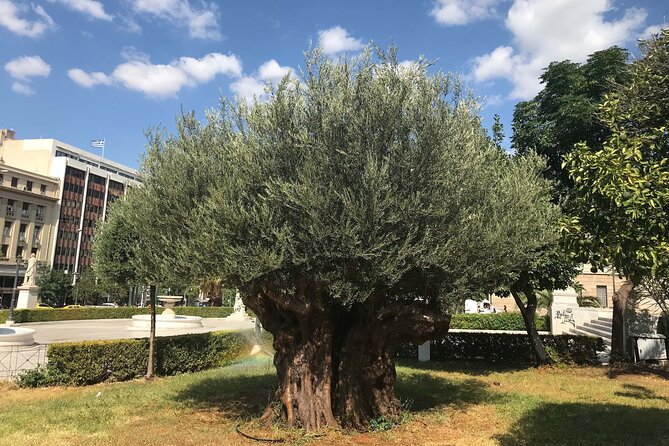 Athens by E-Bike: Monuments, Food & Transfers (Cruise Tour) - Mars Hill and the Roman Agora