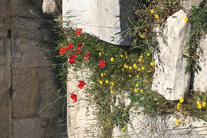 Athens Shore Excursion: Private City Sightseeing and Acropolis Tour - Hadrian’s Arch and the Roman chapter of Athens