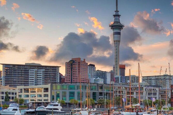Auckland Downtown Hotel Transfers to/from Cruise Ship in Minivan - The city setting: close, hilly, and easy to misjudge
