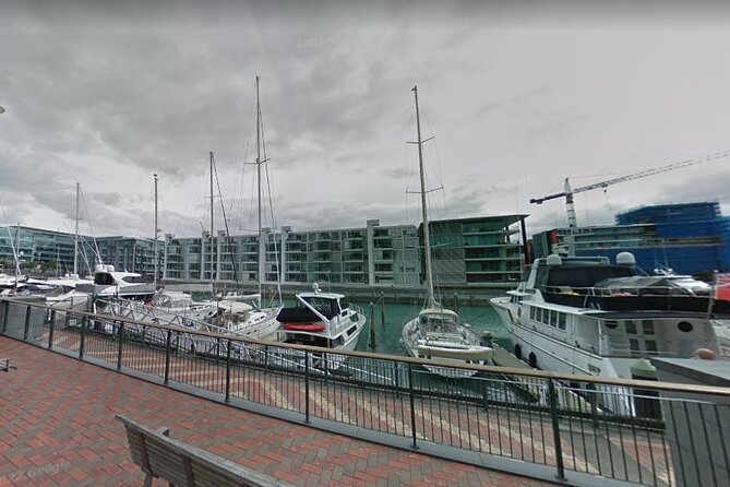 Auckland Private City Tour. Cruise port or Hotel pick up. - Tamaki Drive and Auckland’s eastern beaches