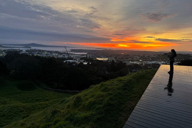 Auckland Private City Tour. Cruise port or Hotel pick up. - Is $345 per person good value?