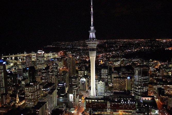 Auckland Shore Excursion: Half-Day Guided City Tour - Is $65.16 a fair price?