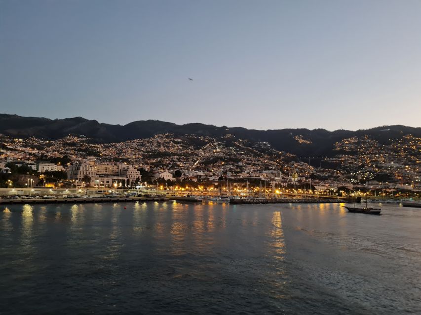 Audio Guide Citywalk Funchal for Cruise Guests - App reliability and language checks