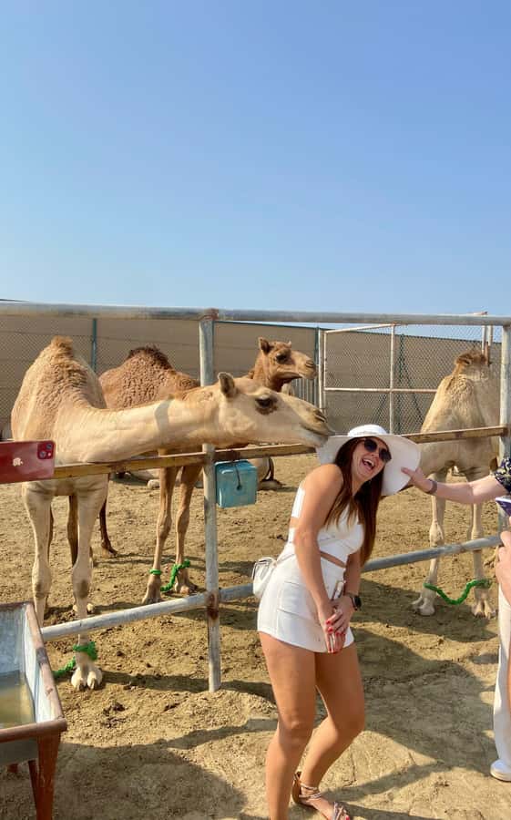 Bahrain: MSC Euribia 11 Highlights Shore Tour (2025–2026) - A’ali burial mounds and Bahrain’s ancient past