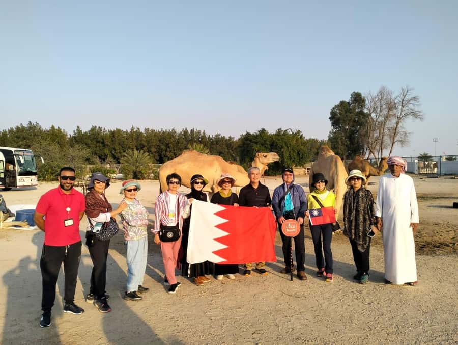 Bahrain: MSC Euribia 11 Highlights Shore Tour (2025–2026) - What the guide and refreshments add